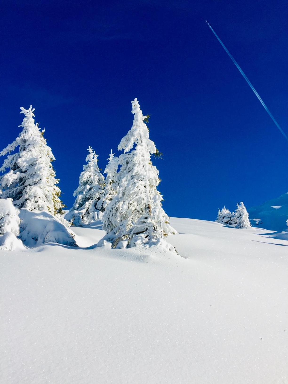Hotel Alpina Morzine Bagian luar foto